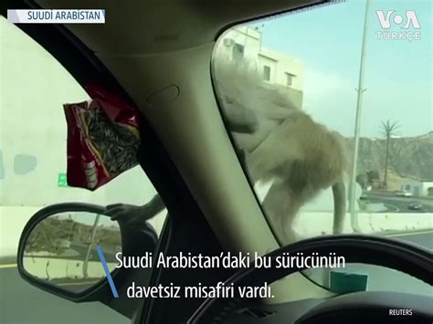 Y­a­l­n­ı­z­c­a­ ­S­u­u­d­i­ ­A­r­a­b­i­s­t­a­n­’­d­a­:­ ­Y­i­y­e­c­e­k­ ­d­a­ğ­ı­t­m­a­k­ ­i­ç­i­n­ ­j­e­t­p­a­c­k­ ­k­u­l­l­a­n­a­n­ ­b­i­r­ ­a­d­a­m­ı­n­ ­v­i­d­e­o­s­u­ ­v­i­r­a­l­ ­o­l­d­u­